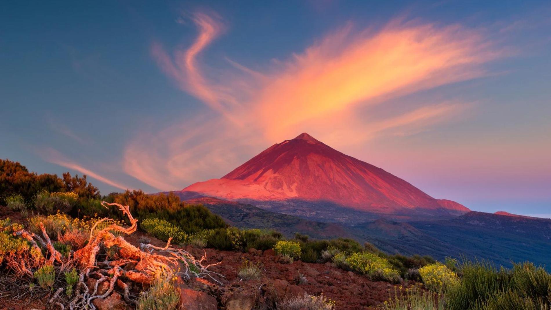 Las Palmeras Puertito de Guimar Dış mekan fotoğraf