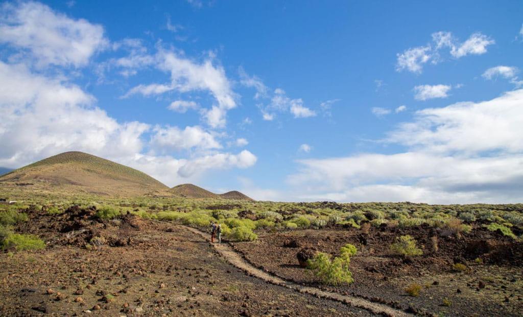 Las Palmeras Puertito de Guimar Dış mekan fotoğraf